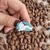 Pin Moon Wolf