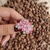 Pin Sakuras