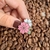 Pin Sakuras