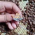 Pin Gatinho Artista *Com Defeito