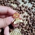 Pin Enoch (O Segredo Além do Jardim) na internet