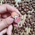 Pin Cardcaptor Sakura *Com Defeito - comprar online
