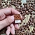 Pin Pantone Overlook (O Iluminado)