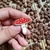 Pin Cogumelo - comprar online