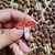 Pin Cogumelo