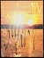 Revista Balam N°6