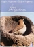 Aves Argentinas / Birds in Argentina
