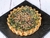 Tarta Espinaca