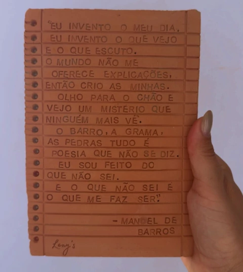Placa Manoel de Barros na internet
