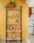 Pinha Canabarro - G - comprar online