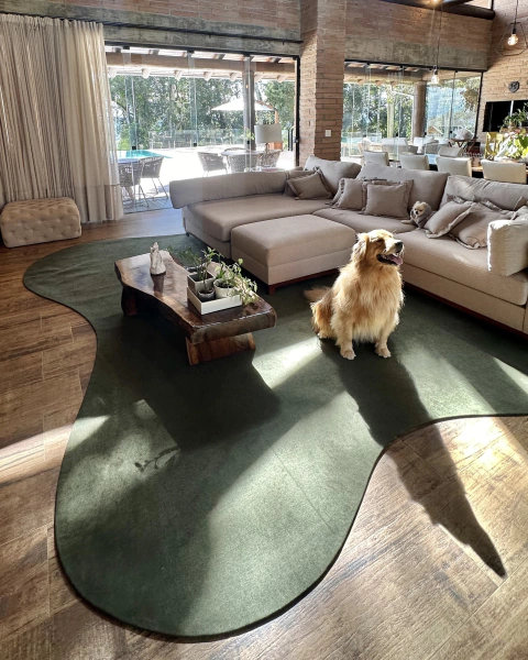 Tapete verde com bordas orgânicas em sala de estar moderna, acompanhado por um cachorro dourado e mesa de centro de madeira, São José.