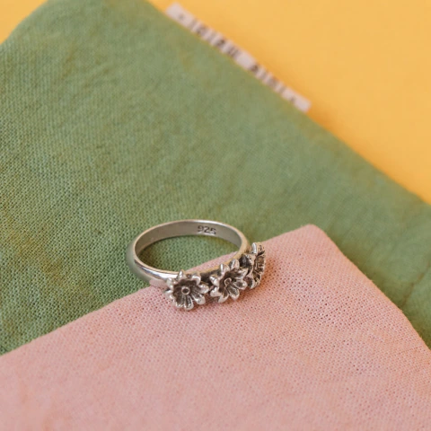 Anillo Campanillas