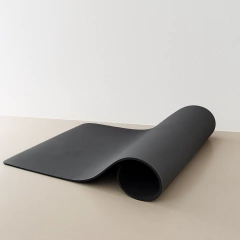 Jogo americano pet tamanho P - absorve água na internet