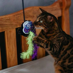 Brinquedo de pelúcia para gatos com catnip - Petiko - comprar online