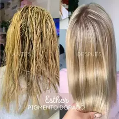 ESTHER PIGMENTO DORADO