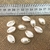 Caracoles Perlados Colgantes (10 unidades)