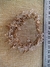 Pulsera Cristales Transparente y dijes Dorado Rayos (1 unidad) - comprar online