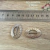 Dije Oval con Laureles Pasante de Cinta "D" (2 unidades)