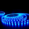 tira led azul 5mt sin transformador