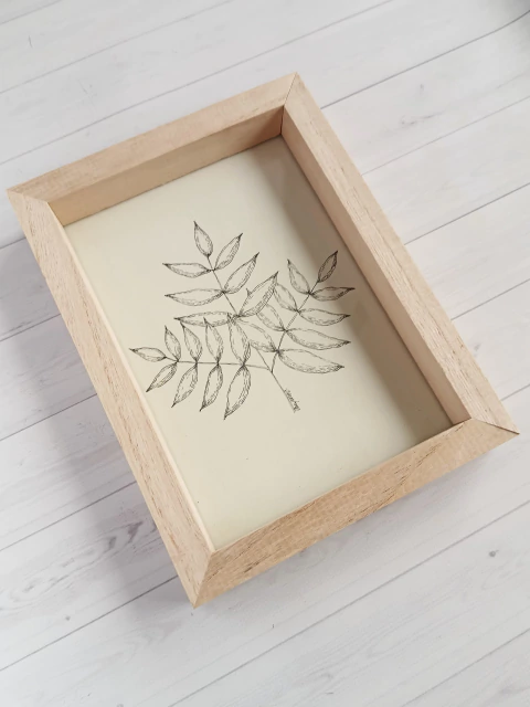 Cuadro Ilustrado Hoja de Nogal