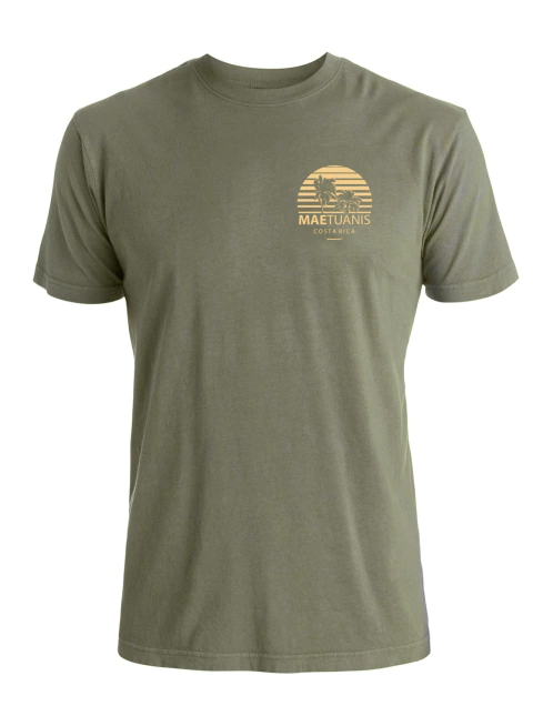 Remera Chicos Pavones Verde - comprar online