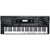 Kurzweil KP110