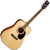 Cort AD880