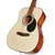 Cort AF510 en internet