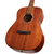 Cort AF510 M en internet
