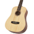 Cort Earth Mini en internet