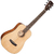 Cort Earth Mini