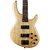 Cort Action DLX AS en internet