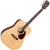 Cort Earth100