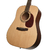Cort Earth60 en internet