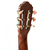 Cort AC250 en internet