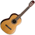 Cort AC250