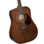 Cort Earth60M en internet