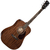 Cort Earth60M