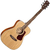Cort L100C