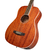 Cort AF950MF en internet