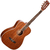 Cort AF950MF
