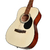 Cort AF510E en internet