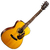 Cort L300VF