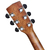 Cort L450CL