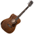 Cort L450CL