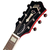 Imagen de Guild S-100 Polara
