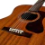 Guild OM-120 en internet