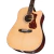 Guild D-150CE en internet