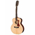 Guild F-1512 en internet
