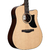 Ibanez AAD50CE en internet